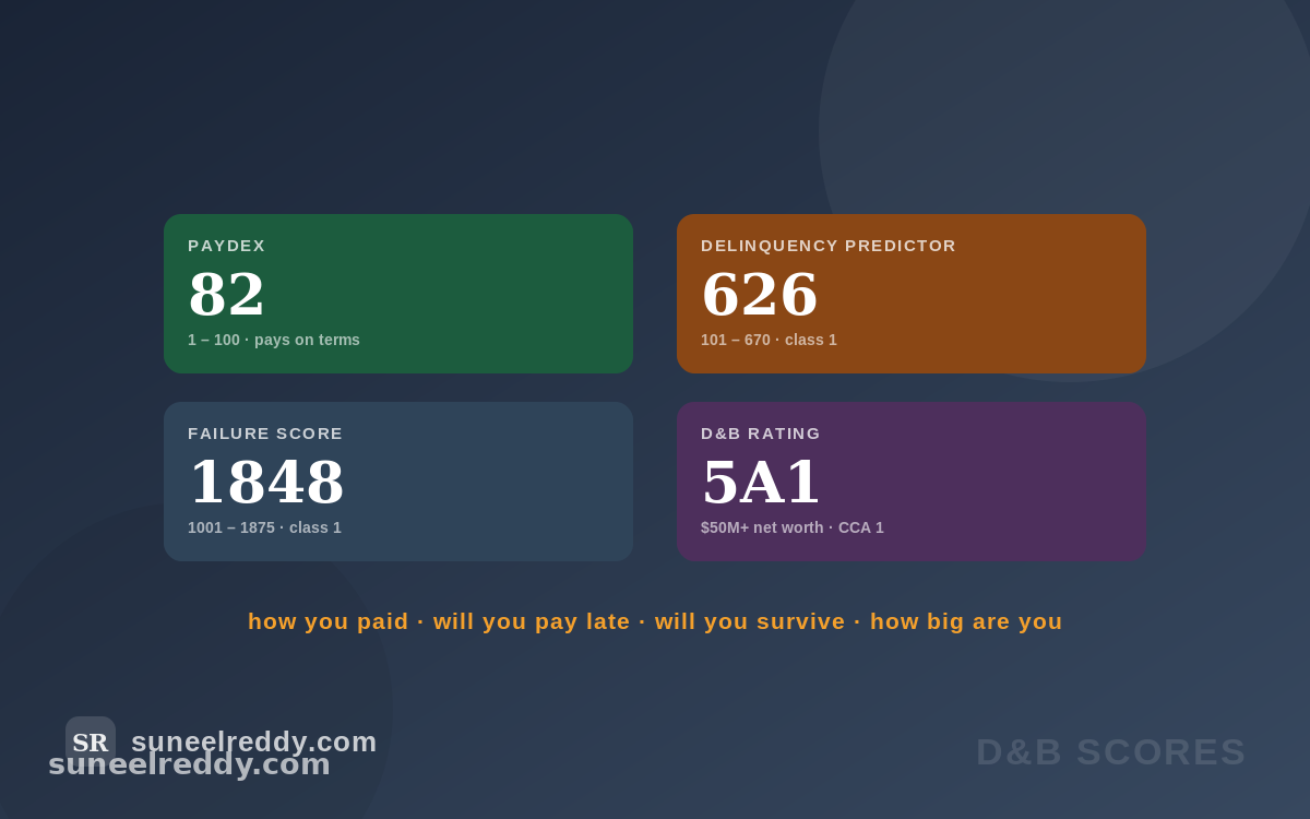 D&B business credit scores explainer